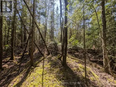 Lot 10 Trillium Crossing Northern Bruce Peninsula ON N0H 1W0