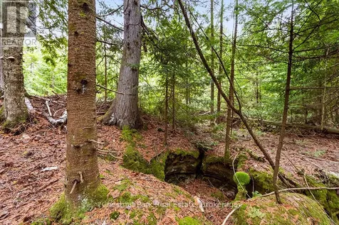 90 Devils Glen Northern Bruce Peninsula ON N0H 2T0