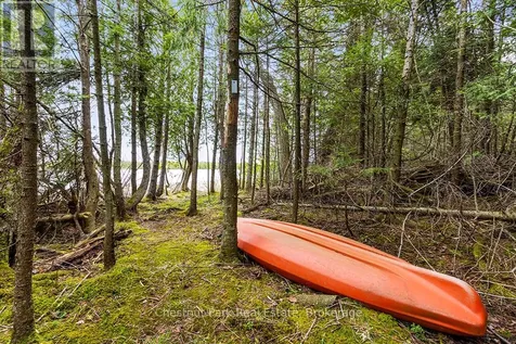 90 Devils Glen Northern Bruce Peninsula ON N0H 2T0