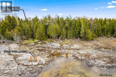 90 Devils Glen Northern Bruce Peninsula ON N0H 2T0