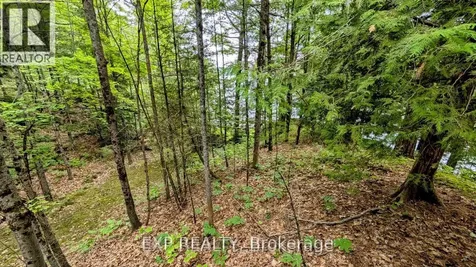 71 Quail Lane North Kawartha ON K1L 1A0