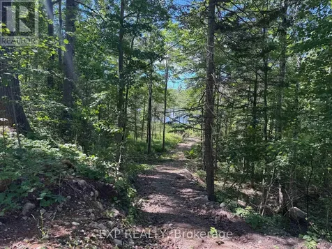 3395B Old Barry's Bay Road Madawaska Valley ON K0J 1B0