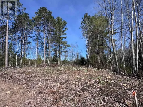 3395B Old Barry's Bay Road Madawaska Valley ON K0J 1B0