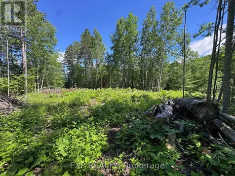 3395B Old Barry's Bay Road Madawaska Valley ON K0J 1B0