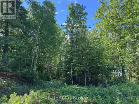 3395A Old Barry's Bay Road Madawaska Valley ON K0J 1B0