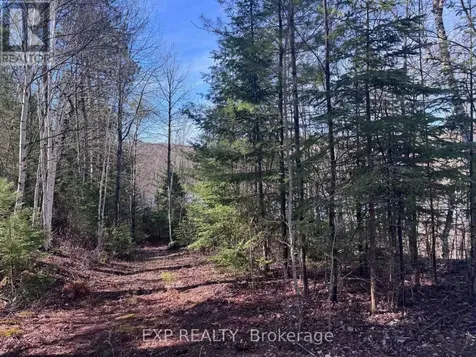 3395A Old Barry's Bay Road Madawaska Valley ON K0J 1B0