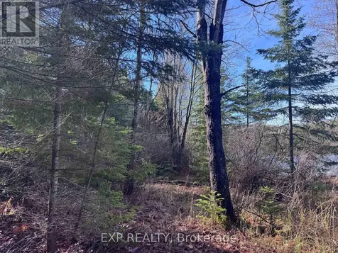 3395A Old Barry's Bay Road Madawaska Valley ON K0J 1B0