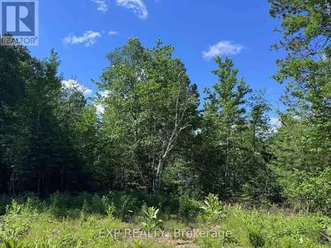 3395A Old Barry's Bay Road Madawaska Valley ON K0J 1B0