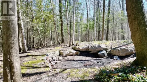 120 Tammy's Cove Road Northern Bruce Peninsula ON N0H 1W0