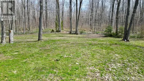 313 Tammy's Cove Road Northern Bruce Peninsula ON N0H 1W0