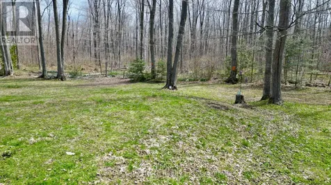313 Tammy's Cove Road Northern Bruce Peninsula ON N0H 1W0