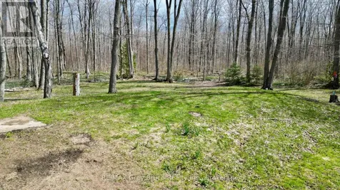 313 Tammy's Cove Road Northern Bruce Peninsula ON N0H 1W0