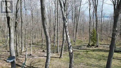 313 Tammy's Cove Road Northern Bruce Peninsula ON N0H 1W0