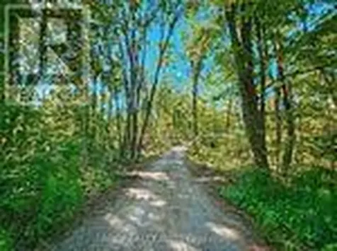 125 Northern Avenue Trent Lakes ON K0M 1A0