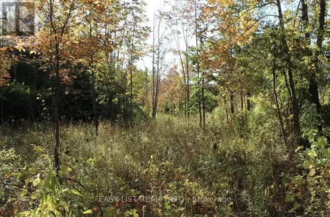 1040 Concession 7 Lanark Highlands ON K0G 1M0