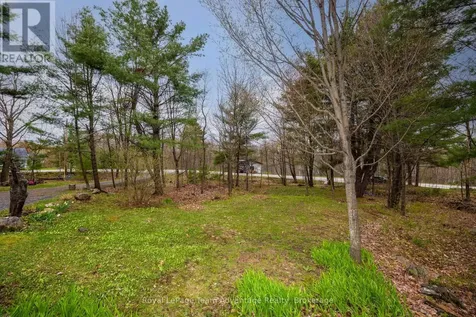 41 Carter's Landing Road Seguin ON P2A 0B2