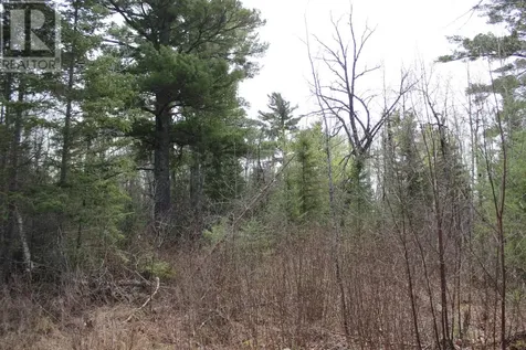 Pcl 14221 Kreger Road Rainy River ON P0W 1L0