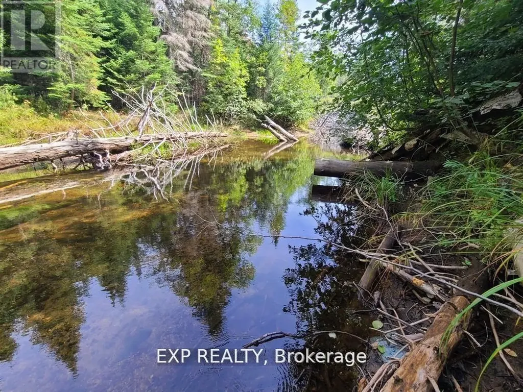 Pt Lt 8 Old Barry's Bay Road Madawaska Valley ON K0J 1L0