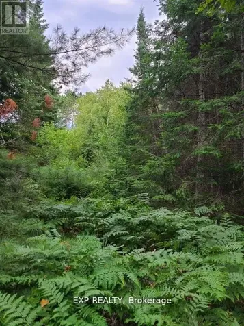 Pt Lt 8 Old Barry's Bay Road Madawaska Valley ON K0J 1L0