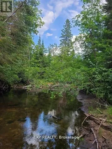 Pt Lt 8 Old Barry's Bay Road Madawaska Valley ON K0J 1L0