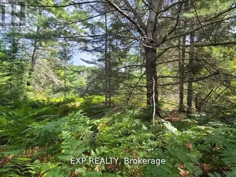 Pt Lt 8 Old Barry's Bay Road Madawaska Valley ON K0J 1L0