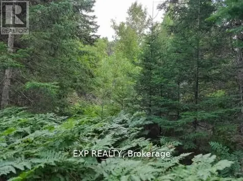 Pt Lt 8 Old Barry's Bay Road Madawaska Valley ON K0J 1L0