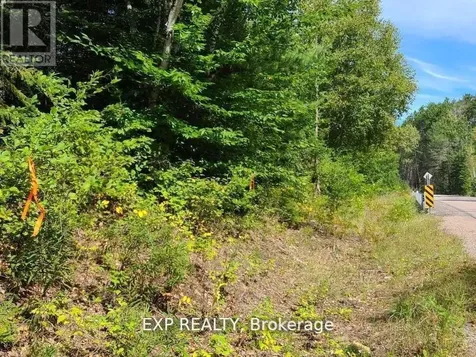 Pt Lt 8 Old Barry's Bay Road Madawaska Valley ON K0J 1L0