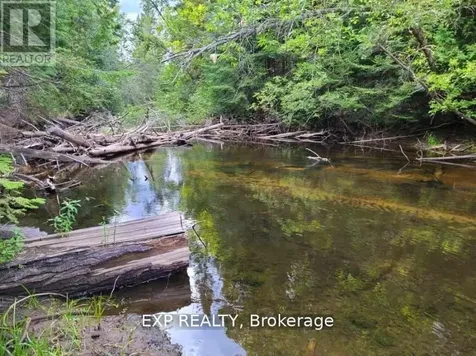 Pt Lt 8 Old Barry's Bay Road Madawaska Valley ON K0J 1L0