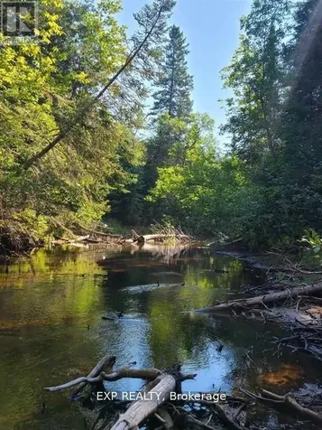 Pt Lt 8 Old Barry's Bay Road Madawaska Valley ON K0J 1L0