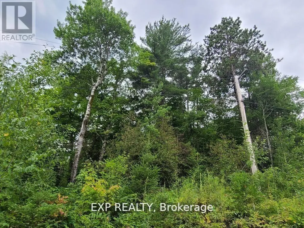 20 Peplinskie Homestead Road Madawaska Valley ON K0J 1B0