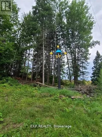 20 Peplinskie Homestead Road Madawaska Valley ON K0J 1B0