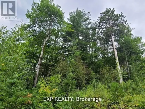 20 Peplinskie Homestead Road Madawaska Valley ON K0J 1B0