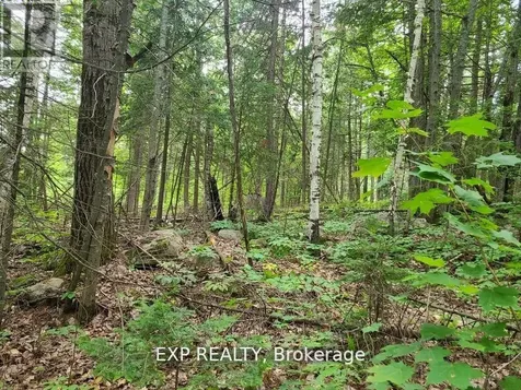 20 Peplinskie Homestead Road Madawaska Valley ON K0J 1B0