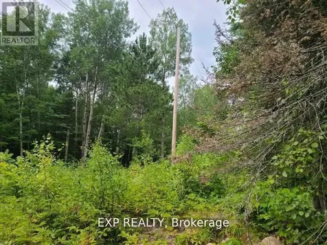 20 Peplinskie Homestead Road Madawaska Valley ON K0J 1B0