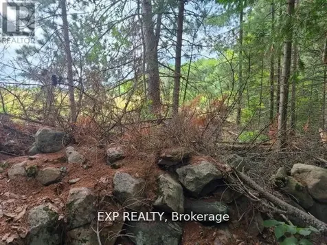 20 Peplinskie Homestead Road Madawaska Valley ON K0J 1B0