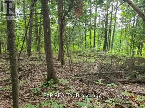 20 Peplinskie Homestead Road Madawaska Valley ON K0J 1B0