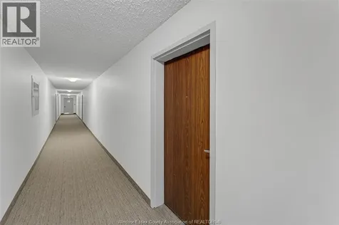 3936 Wyandotte St. East Windsor ON N8Y 4V1