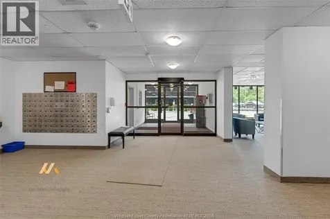 3936 Wyandotte St. East Windsor ON N8Y 4V1