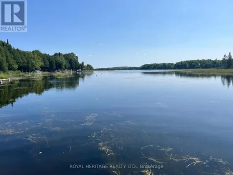 0 Sumcot Drive Trent Lakes ON K0L 1J0
