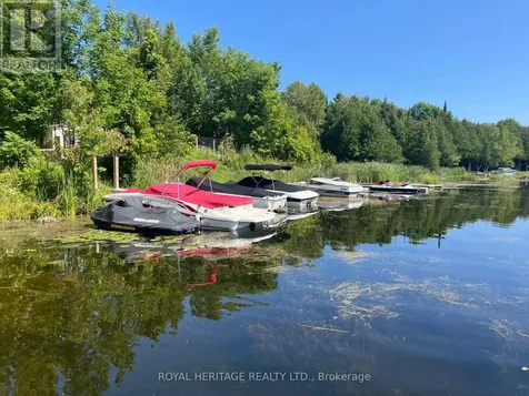 0 Sumcot Drive Trent Lakes ON K0L 1J0