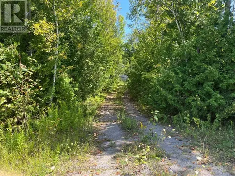 0 Sumcot Drive Trent Lakes ON K0L 1J0