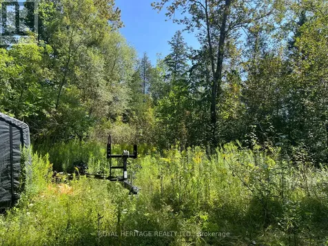 0 Sumcot Drive Trent Lakes ON K0L 1J0