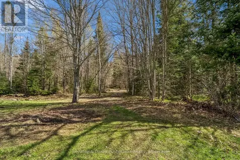 2519 South Horn Lake Rd R.r.#3 Road Magnetawan ON P0A 1C0