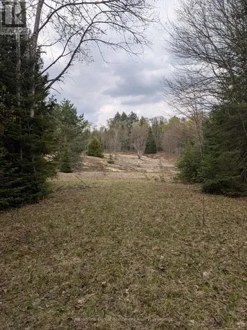 2519 South Horn Lake Rd R.r.#3 Road Magnetawan ON P0A 1C0