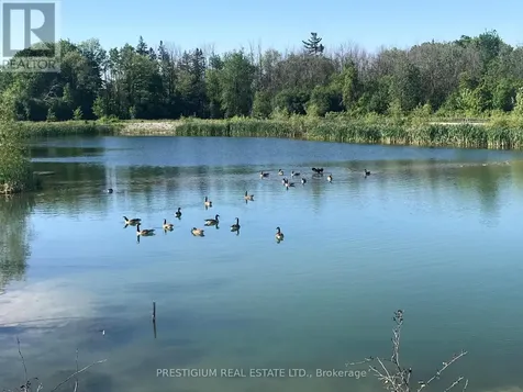 59 Ducharme Drive Richmond Hill ON L4S 0J3