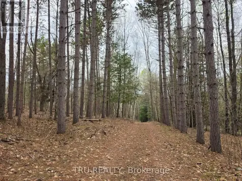952 Siberia Road Madawaska Valley ON K0J 1B0
