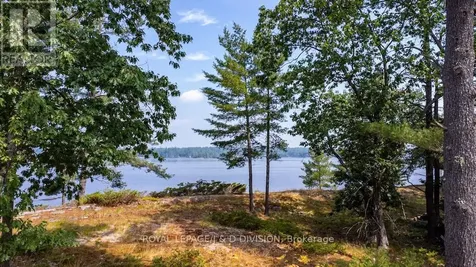 4446 Is 107 Stoney Lake Island North Kawartha ON K0L 2H0