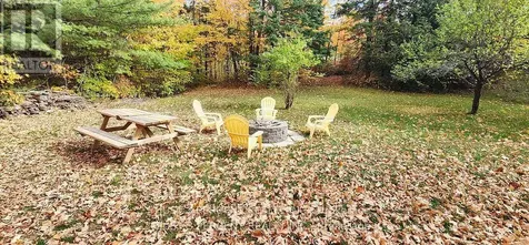 1492 County Rd 620 Road North Kawartha ON K0L 1A0