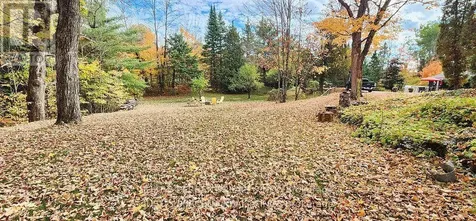 1492 County Rd 620 Road North Kawartha ON K0L 1A0