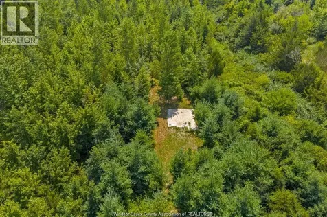 39 William Street Kingsville ON N0R 1B0